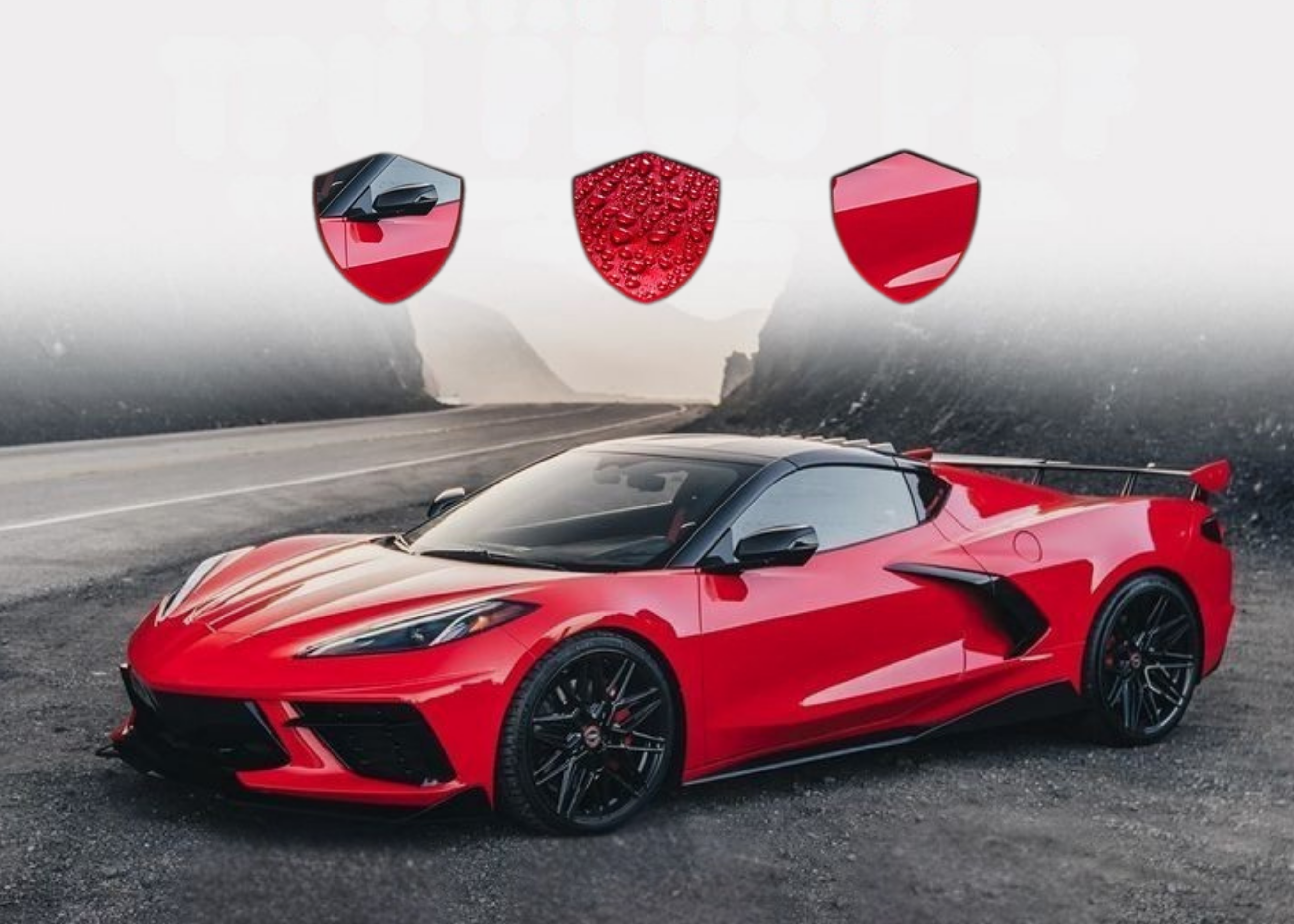 Paint Protection Film Manufacturer in India Paint Protection Film Manufacturer in India